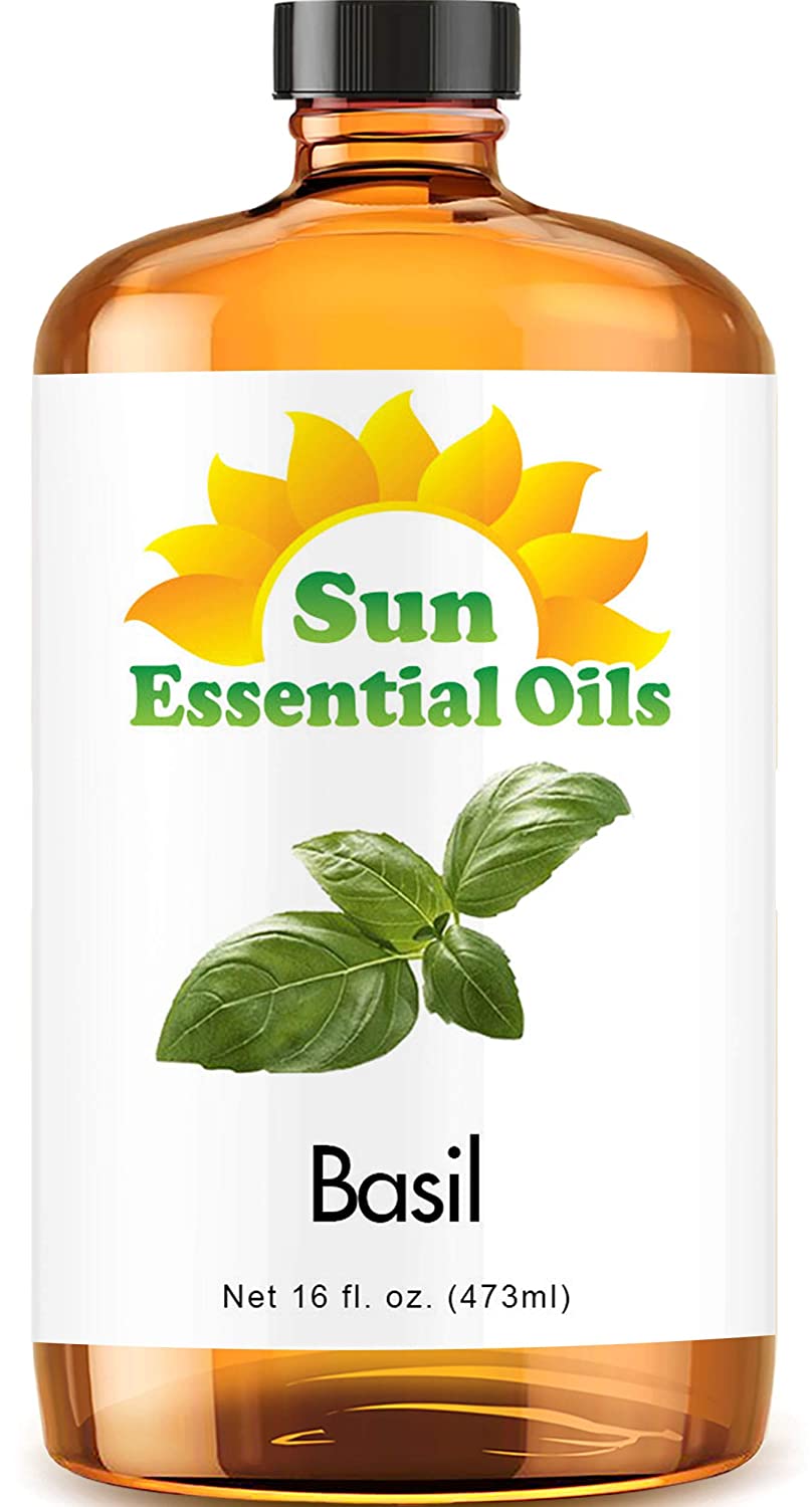 Sun Essential Oils 16oz - Basil Essential Oil - 16 Fluid Ounces