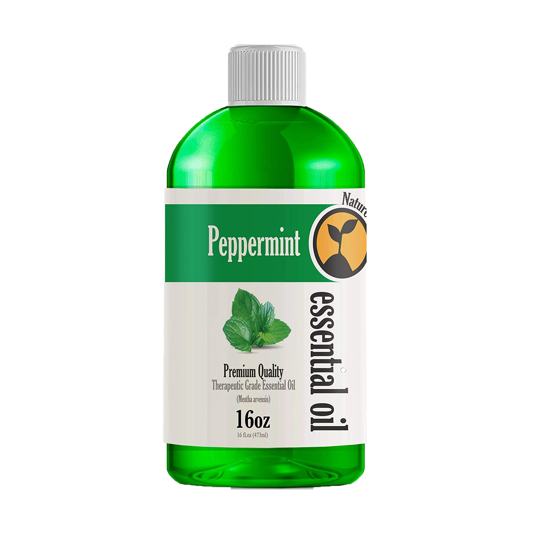 Bulk Size Peppermint Essential Oil (16 Ounce)