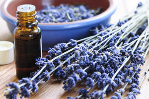 The Top 8 Ways to Use Lavender Oils