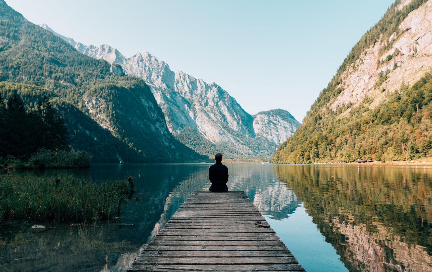 The Top 6 Essential Oils for Stress and Anxiety