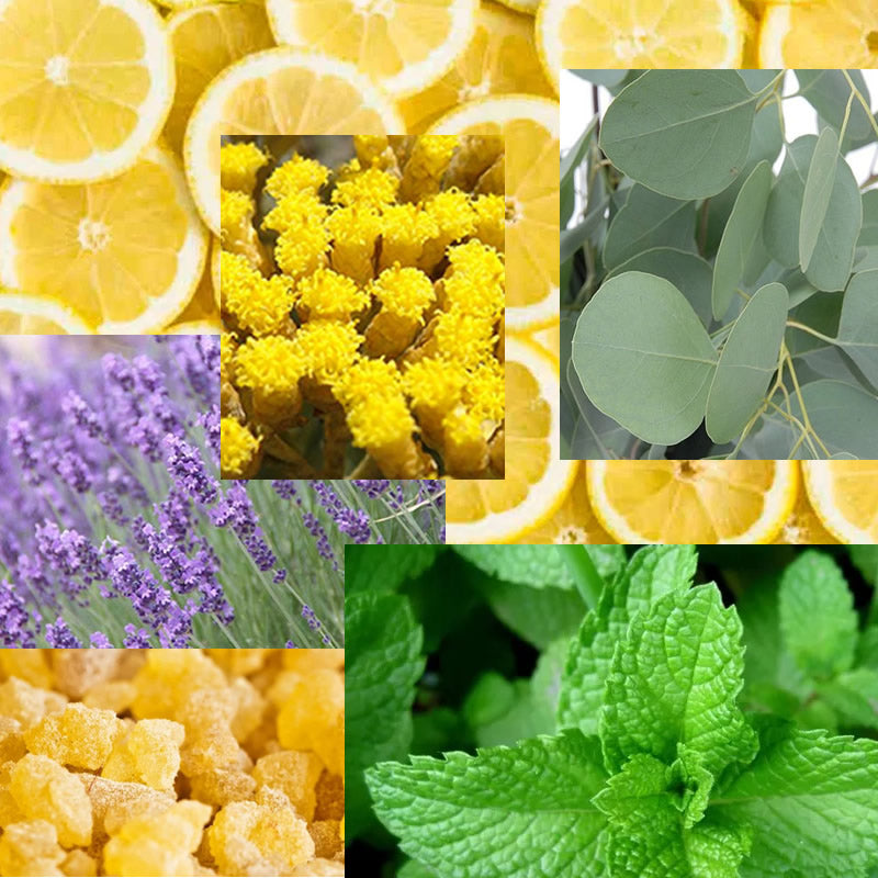 What sets Healing Solutions Essential Oils apart from the competition?