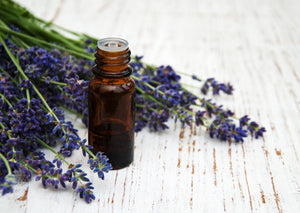 Cost of Lavender Essential Oil