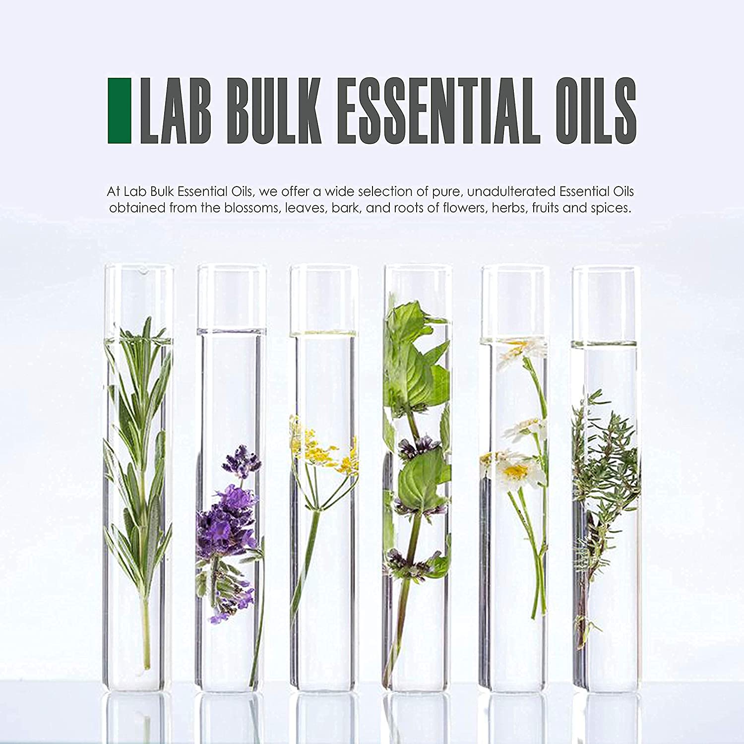 Peppermint Essential Oil (16 Ounce Bottle)