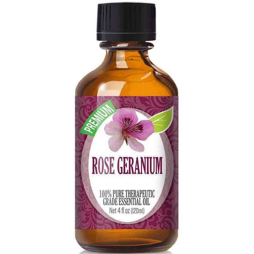 Rose Geranium Essential Oil-Healing Solutions | Essential Oils