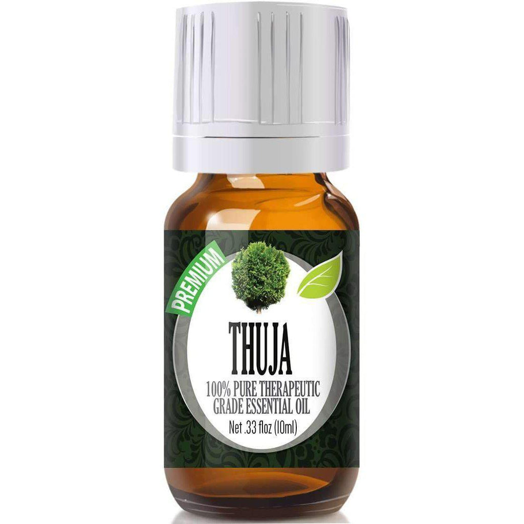 448982157_2773219265_Thuja_10m