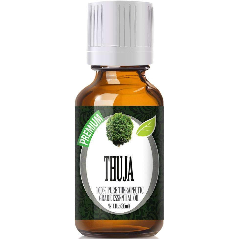 Premium Thuja Essential Oil - Highest Quality – Healing Solutions