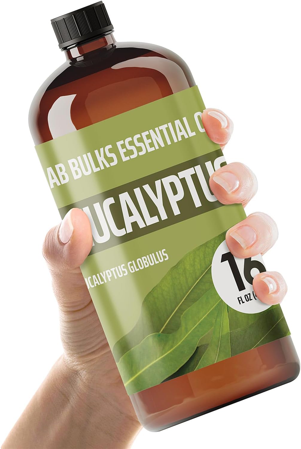 Lab Bulks Essential Oil Eucalyptus 16oz