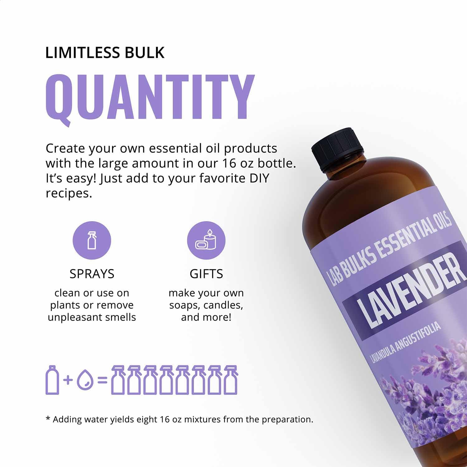 Lab Bulks Essential Oil Lavender 16oz