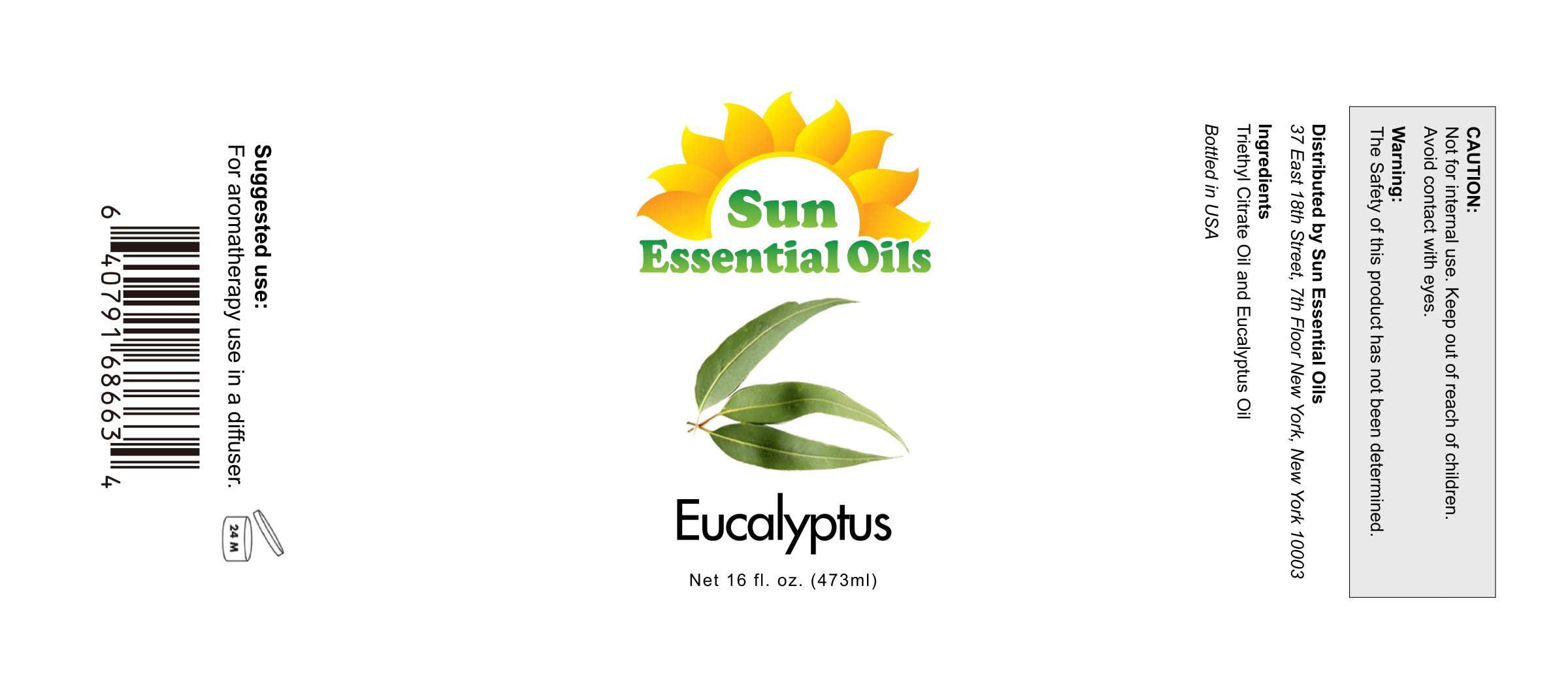 Sun Essential Oils Eucalyptus 16oz
