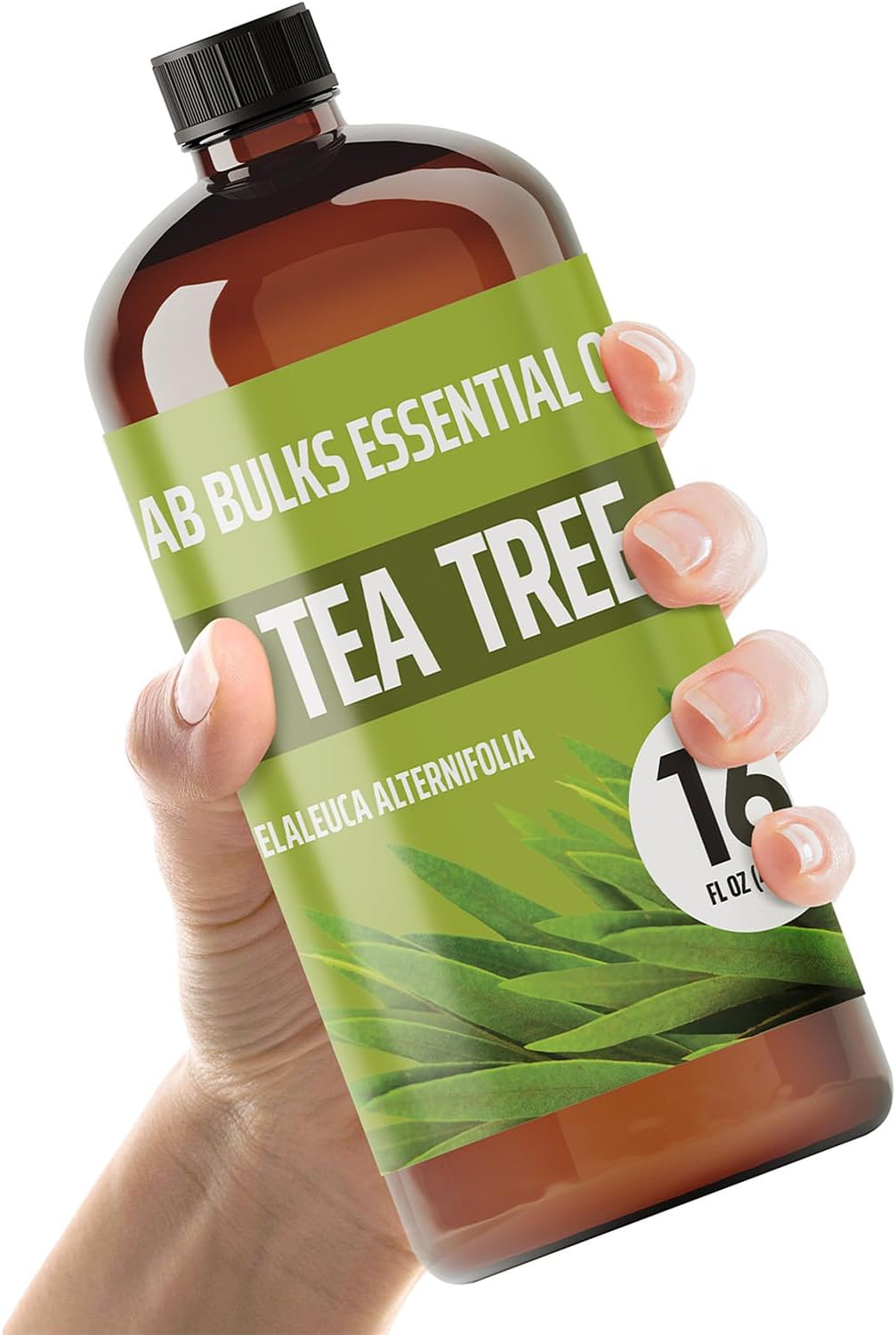 Lab Bulks Essential Oil Tea Tree 16oz