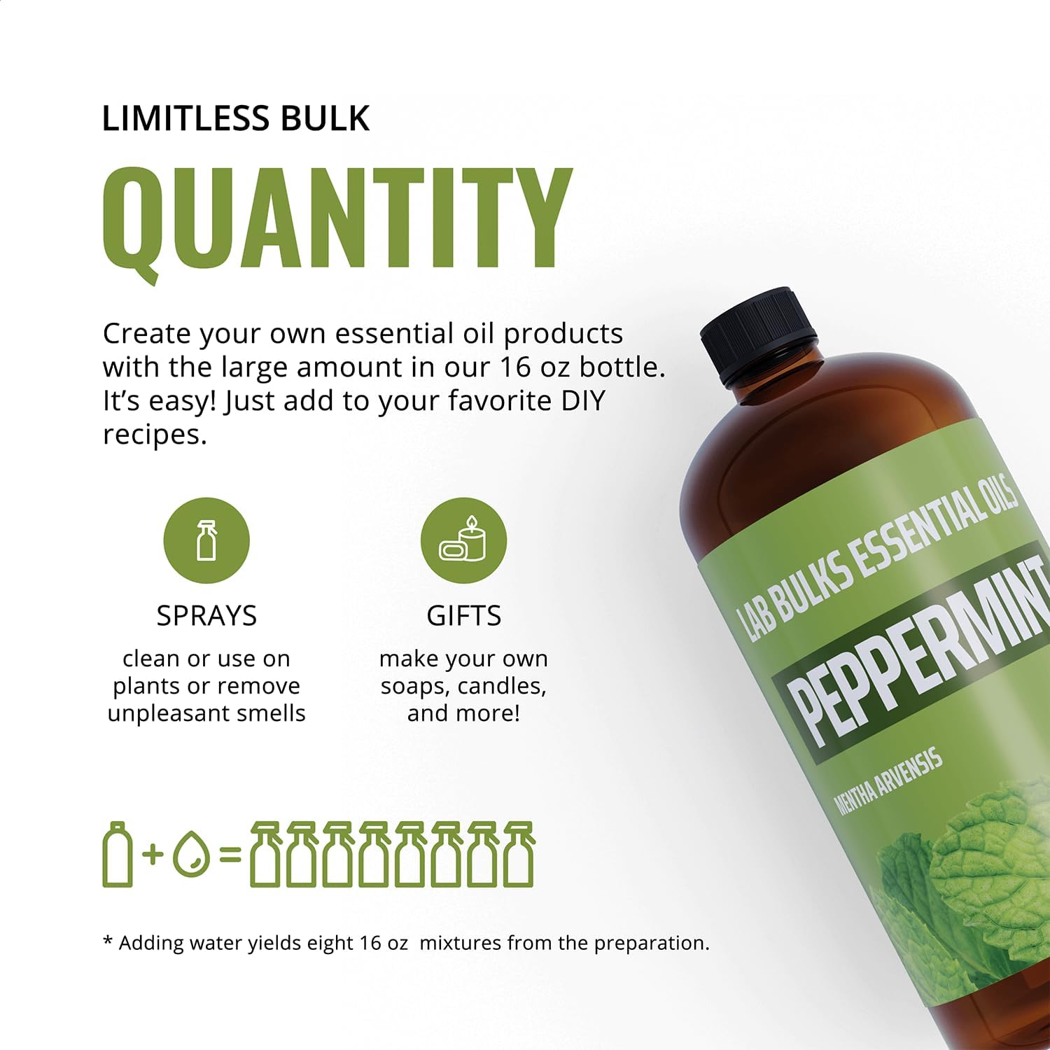Lab Bulks Essential Oil Peppermint (16 oz, 2 Pack)