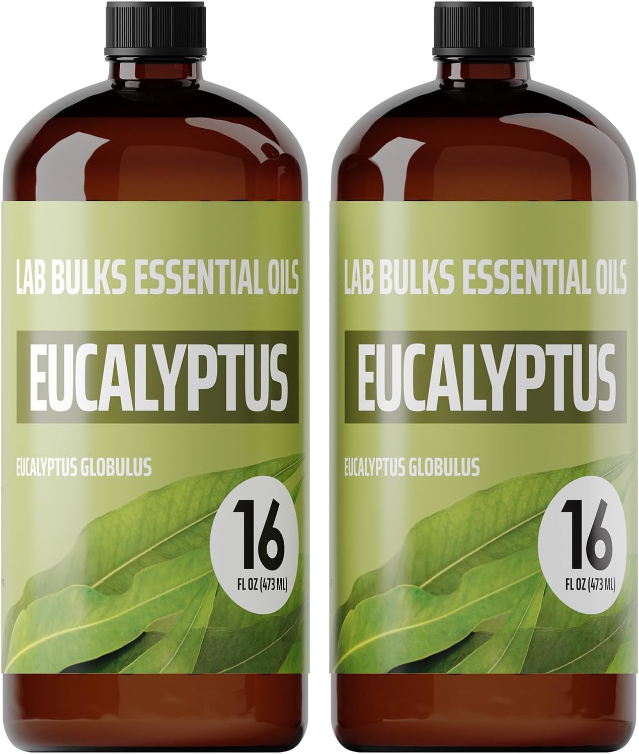 Lab Bulks Essential Oil Eucalyptus (16oz, 2 Pack)