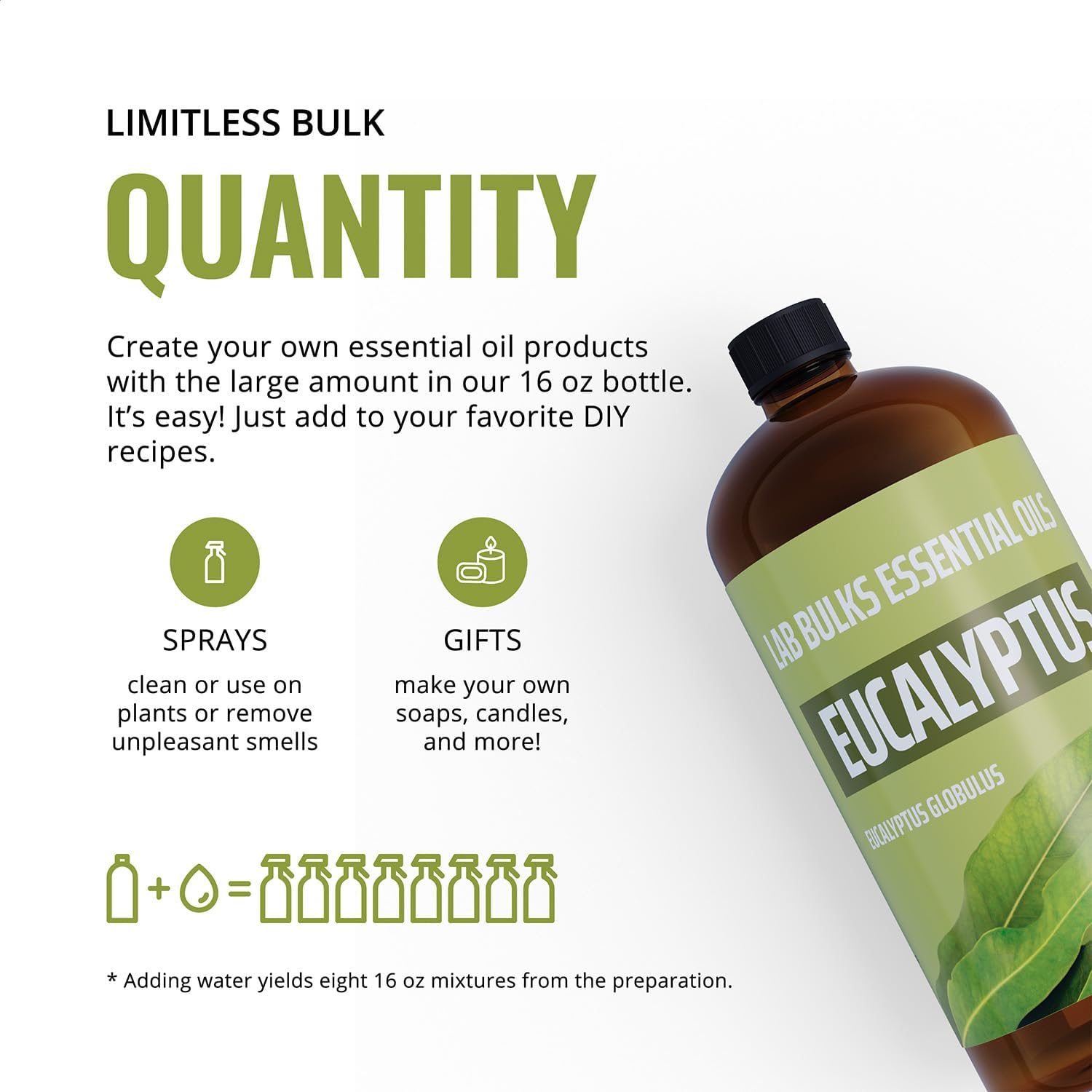 Lab Bulks Essential Oil Eucalyptus (16oz, 2 Pack)