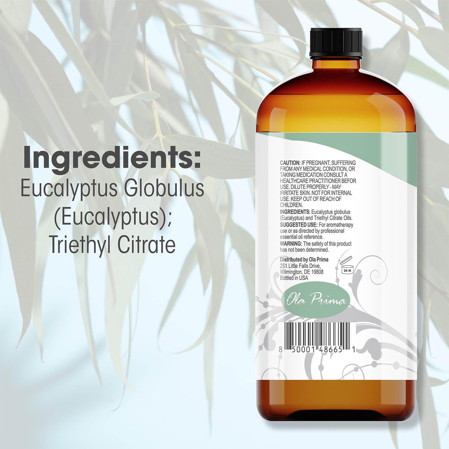 Ola Prima Eucalyptus 16oz