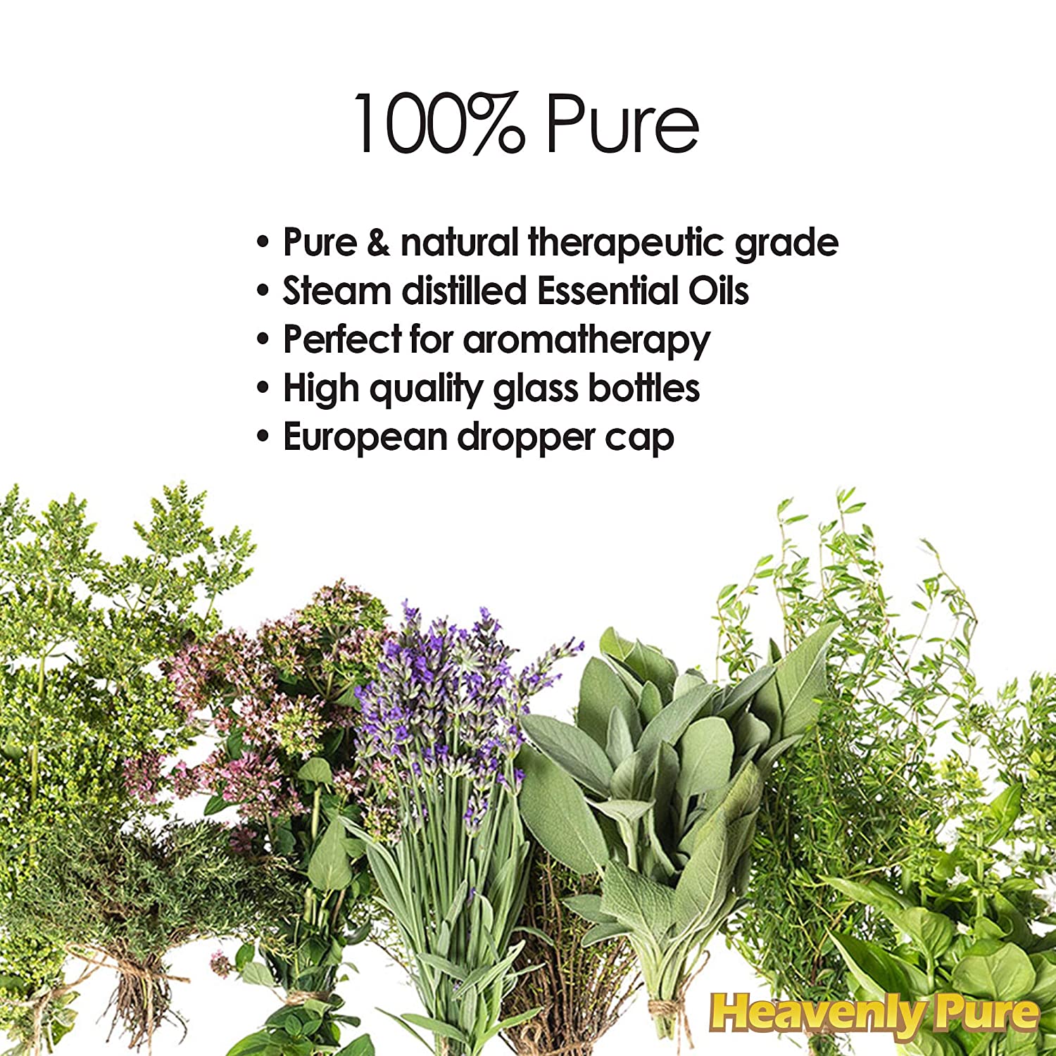 HP Frankincense 4oz