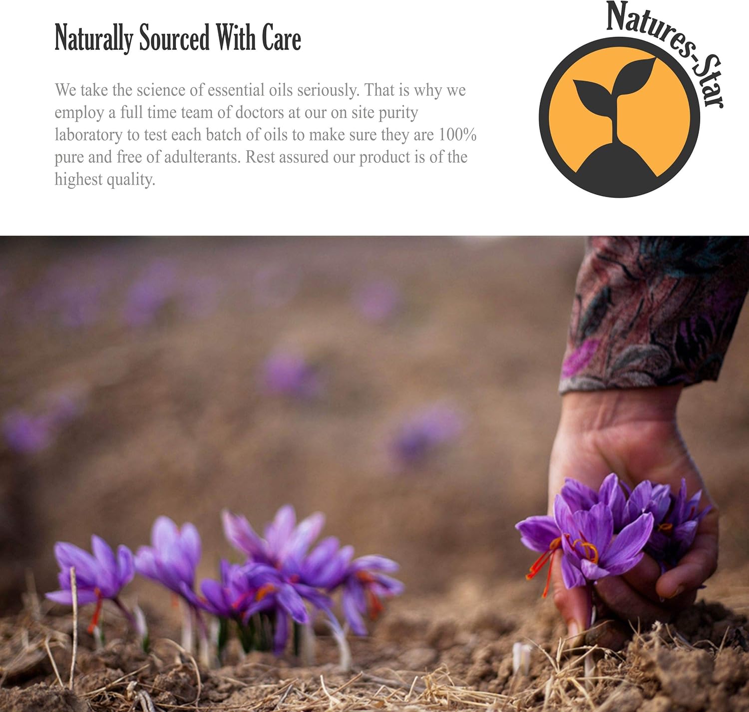 Natures-Star Lavender (16oz, 4 Pack)