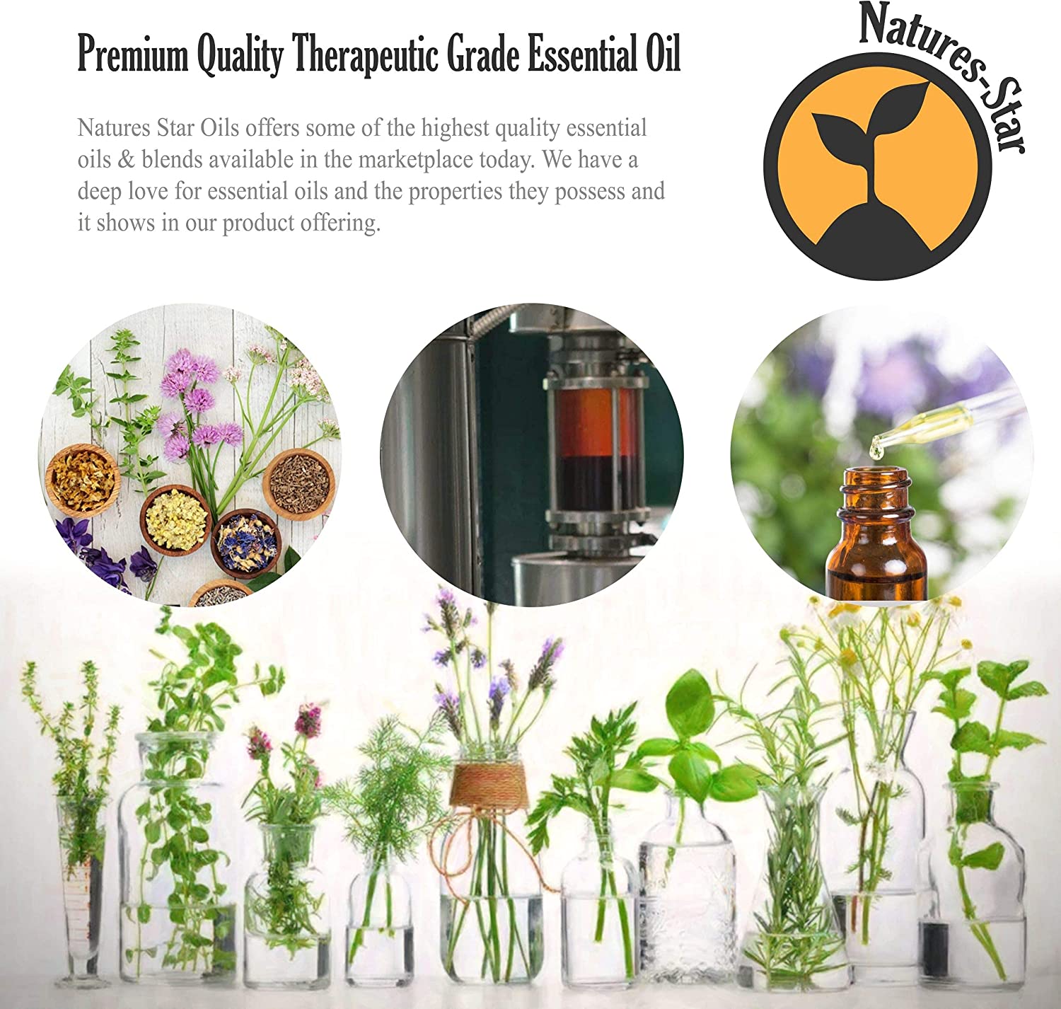 Bulk Size Peppermint Essential Oil (16 Ounce)
