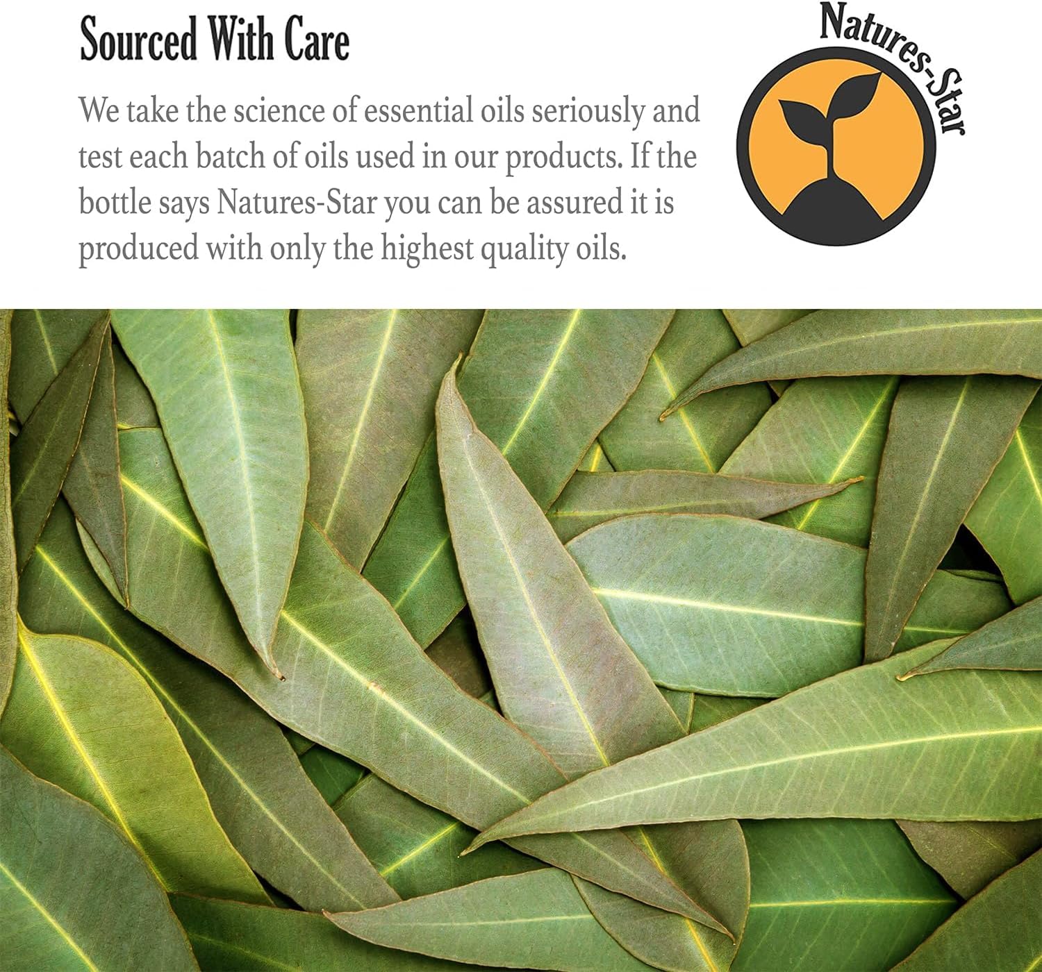 Natures-Star Eucalyptus (16oz, 2 Pack)