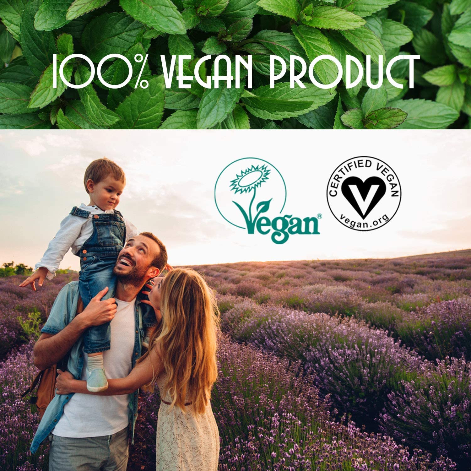 Naturalitana Clove 16oz