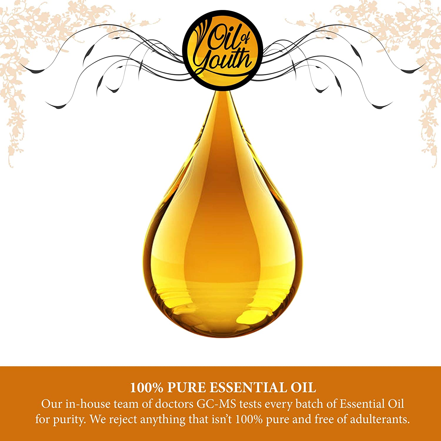 Oil of Youth Essential Oils 8oz - Cinnamon Bark Essential Oil - 8 Fluid Ounces