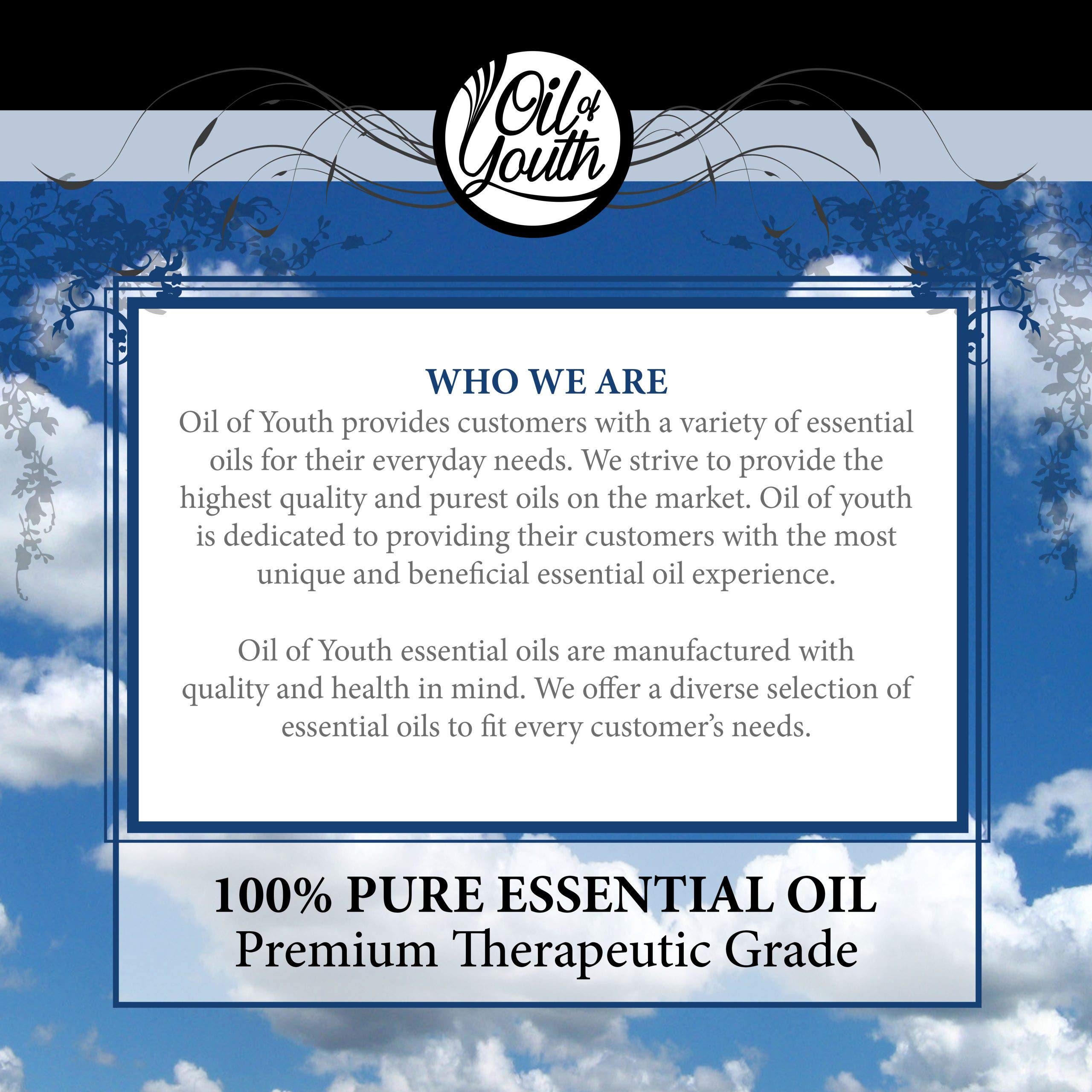 Oil of Youth Essential Oils 16oz - Clove Essential Oil - 16 Fluid Ounces