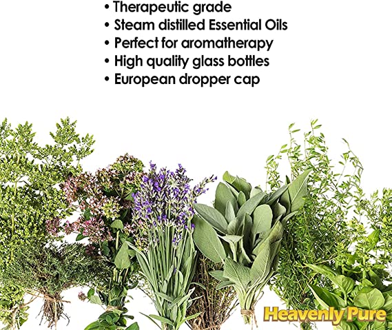 Peppermint Essential Oil (Huge 16 OZ - Bulk Size) - Pure & Natural Sweet Peppermint Aroma - Therapeutic Grade - Peppermint Oil is Great for Aromatherapy