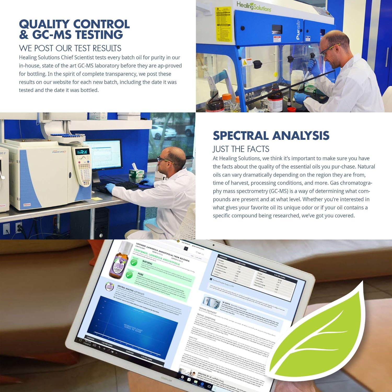 Cassia Essential Oil Organic 0.33oz