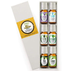 Bee & Scorpion Sting Set (6/10mL)-Healing Solutions | Essential Oils